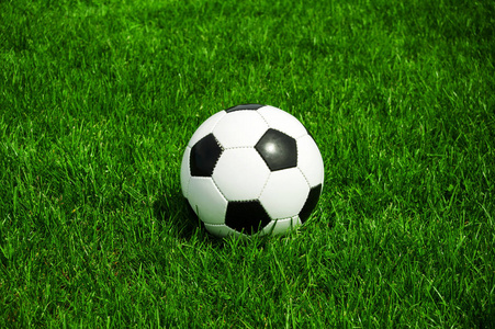 新手学习入门场景