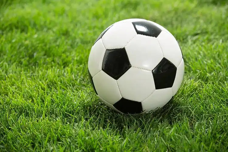 数据分析研究场景