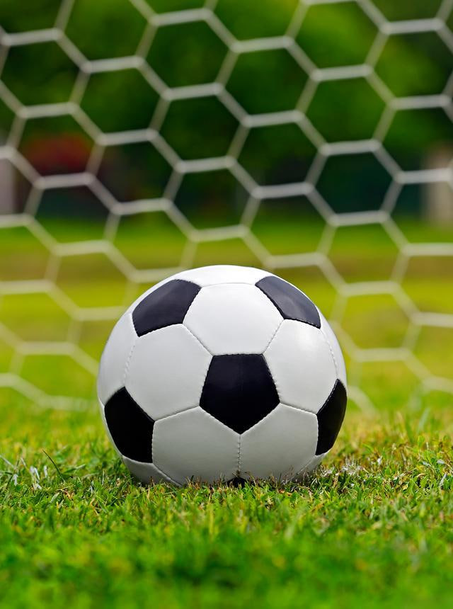 任九比分结果应用下载与安装界面